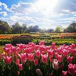 Peaceful Near Arboretum Volcji Potok *