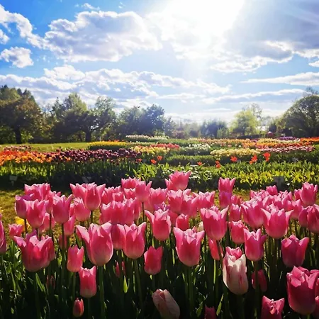 Peaceful Near Arboretum Volcji Potok *