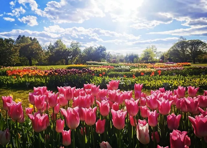 Peaceful Near Arboretum Volcji Potok *