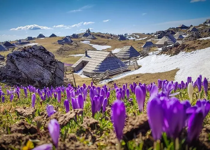 아파트 Peaceful Near Arboretum Volcji Potok Radomlje