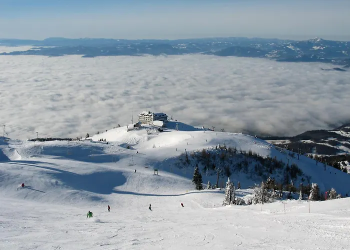 Peaceful Near Arboretum Volcji Potok